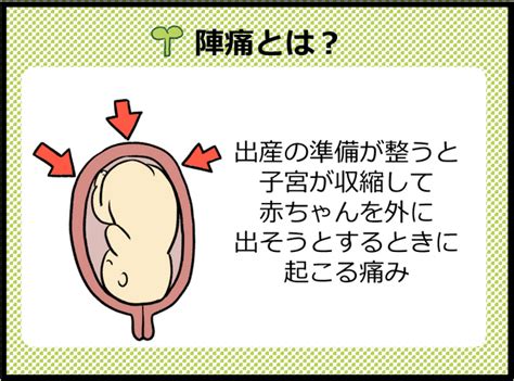 陣痛 位置|陣痛とは？どんな痛み？始まり方は？先輩ママはどう感じた？